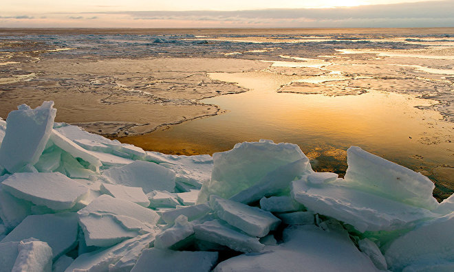 Учёные ААНИИ: температура в Арктике понизится после 2020 года