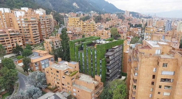 115000 растений расцветают в центре Боготы