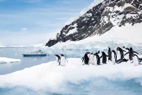 Температура в Антарктиде достигла рекордного значения