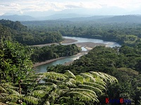 К 2064 году тропические леса Амазонки превратятся в сухую равнину