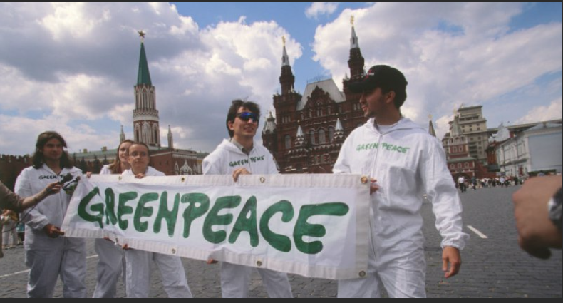 Деятельность Greenpeace в России признана нежелательной 