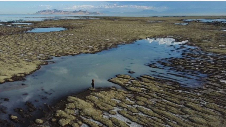 Большое Соленое озеро в США на грани исчезновения