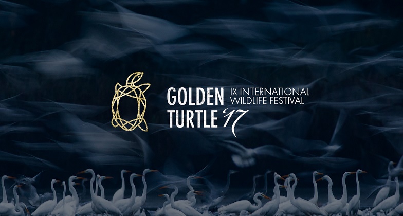 XI Международный фестиваль дикой природы «Золотая Черепаха»