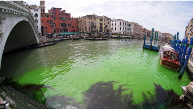В венецианском Гранд-канале позеленела вода