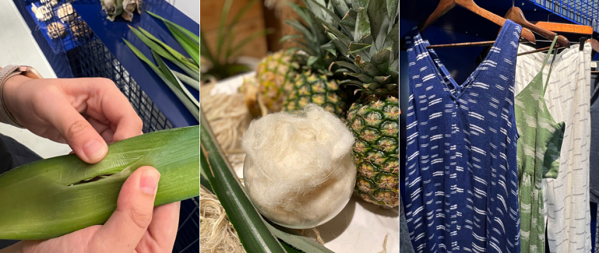 Cтартап из Сингапура создал ткань из ананаса 