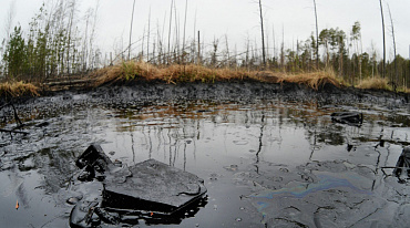 В Волгоградской области обнаружили разлив нефтепродуктов