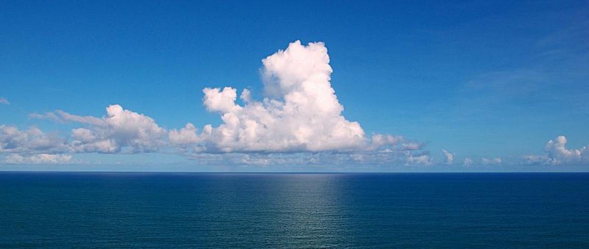 Углекислый газ увеличивает кислотность океана