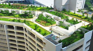 В России начнут озеленять крыши домов