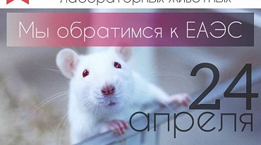 Международная акция за запрет тестирования косметики на животных