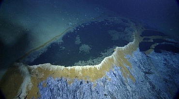 Подводное озеро несет гибель животным