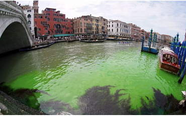 В венецианском Гранд-канале позеленела вода