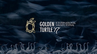 XI Международный фестиваль дикой природы «Золотая Черепаха»