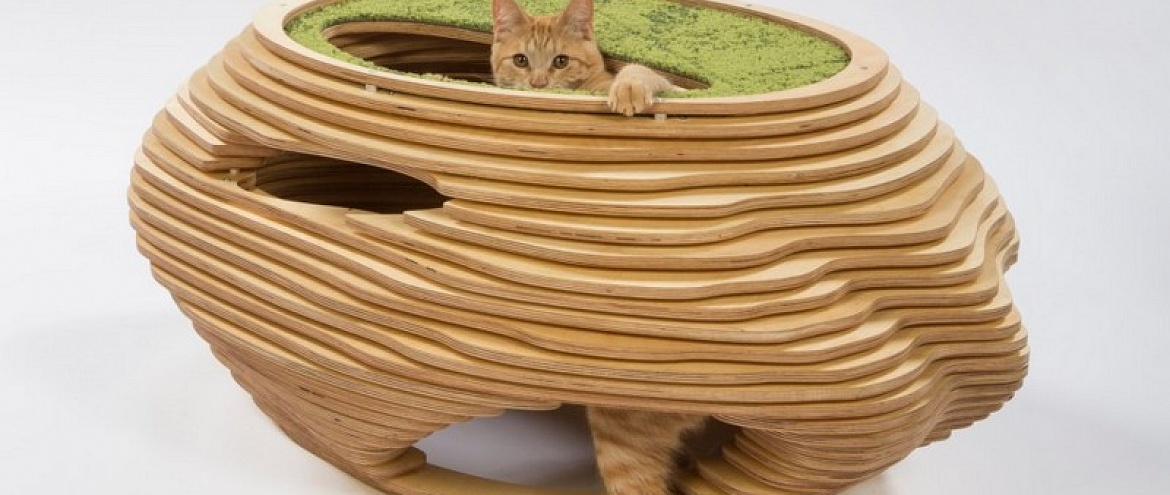 Архитекторы и дизайнеры создают домики для бездомных кошек