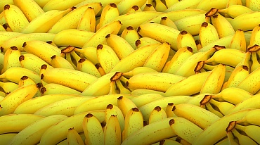 Биоразлагаемый пластик сделали из бананов
