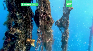 Из Эгейского моря извлекли 28 тонн брошенных рыболовных сетей