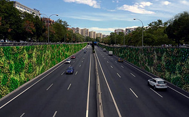 В Мадриде высадят вертикальные сады вдоль кольцевой дороги 