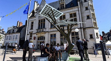 Во Франции посадили солнечное дерево