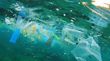 Арктика стала тупиком для пластика