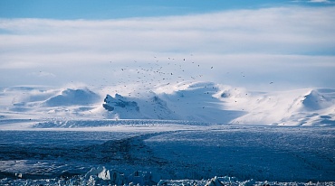 Ледники Антарктиды не затронуты глобальным потеплением