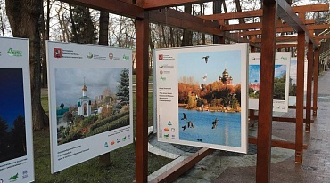 Выставка избранных работ II-й Российской экологической недели