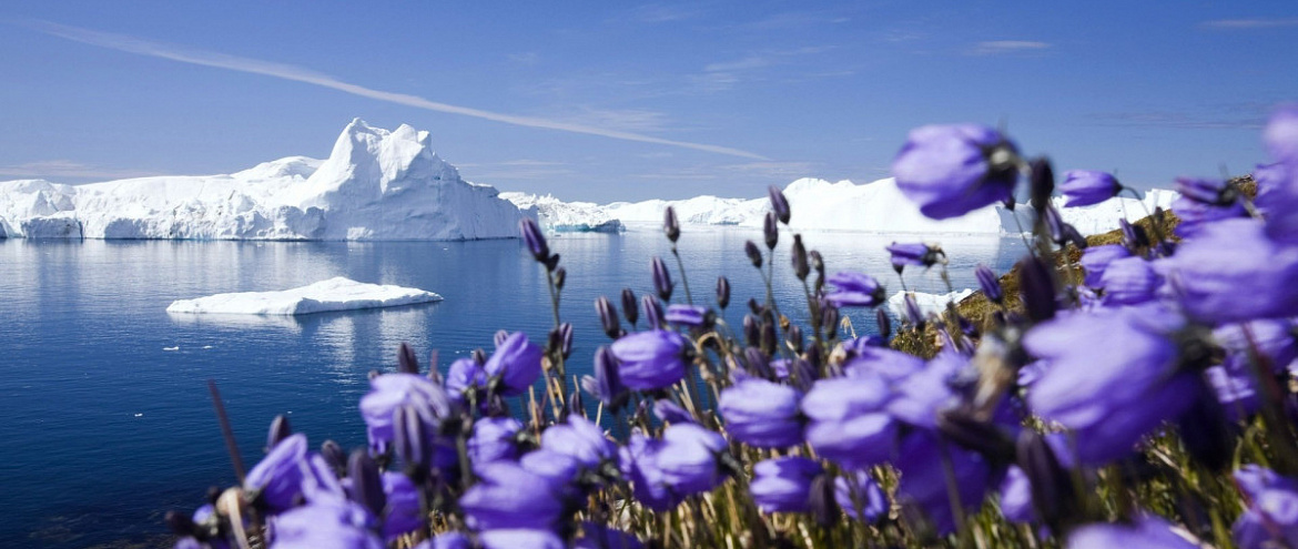 Природа Арктики обнаружила тенденцию к самовосстановлению
