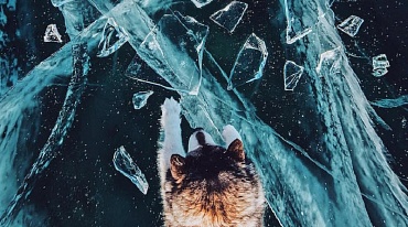 Кристальная вода Байкала сверкает зимним льдом