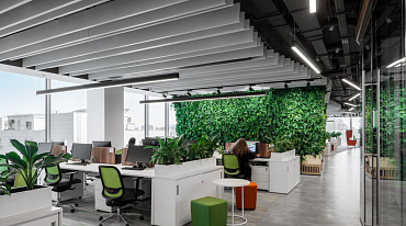 Для компаний разработали единый экостандарт «Зелёный офис»