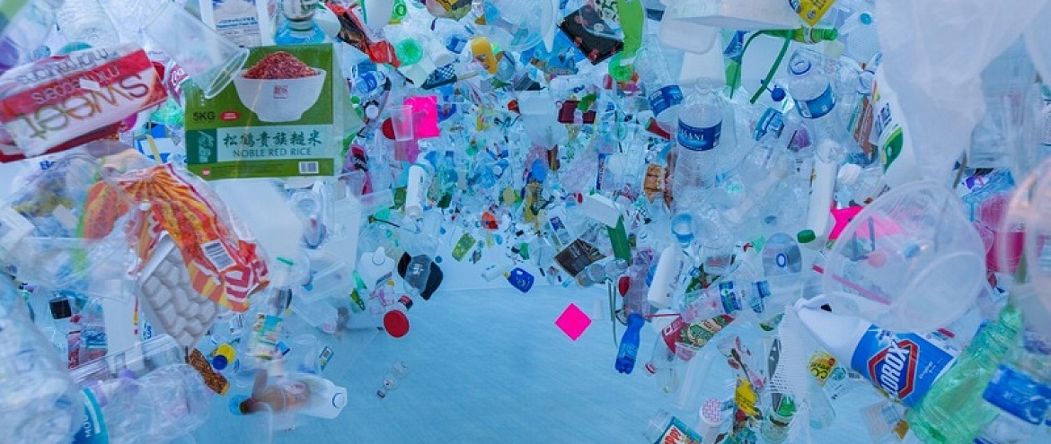 Пластик служит транспортом для морских животных