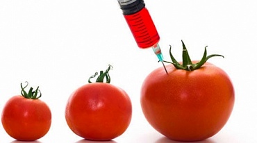 Закон о запрете ГМО вступил в силу