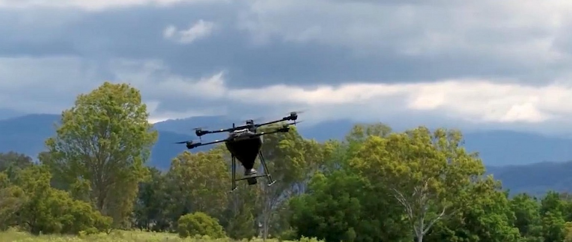 Леса Австралии восстановят дроны 