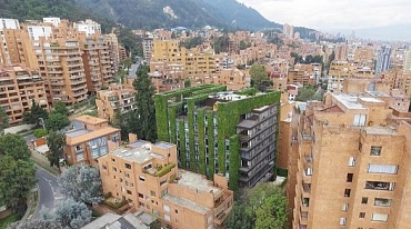 115000 растений расцветают в центре Боготы
