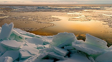 Учёные ААНИИ: температура в Арктике понизится после 2020 года
