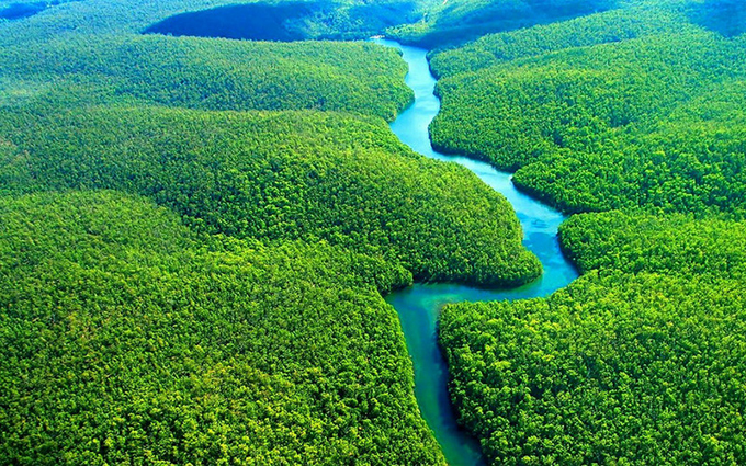 Тропические леса Бразилии начали выделять углекислый газ