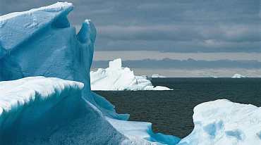 Лед Арктики может исчезнуть к 2030 году