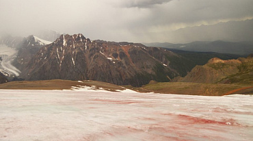 Ледник в Горном Алтае стал красным