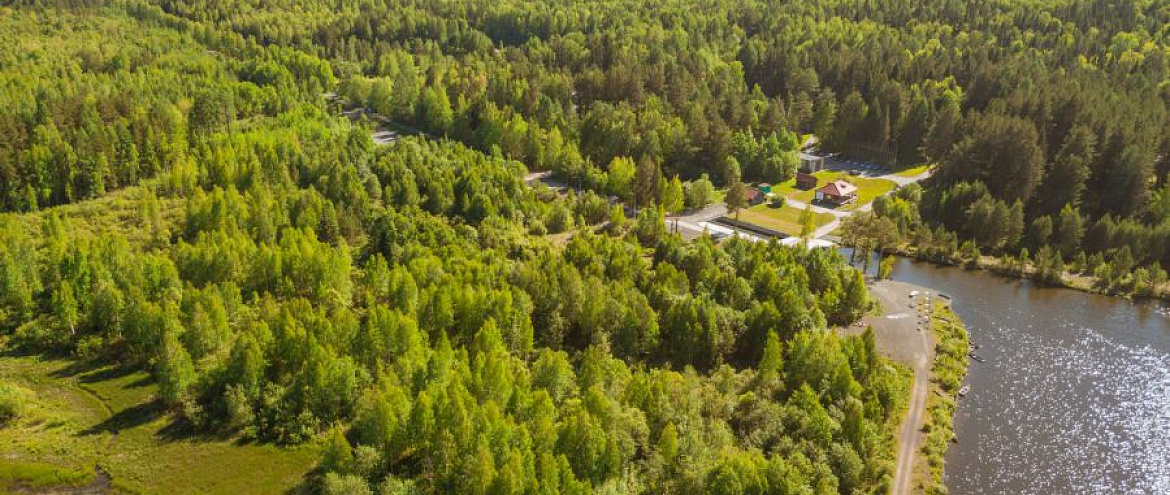 В Свердловской области создали лесопарковые зеленые пояса