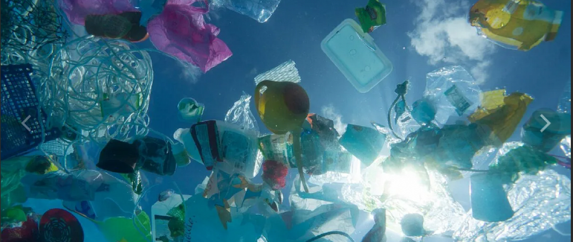 Загрязнение океана пластиком способствует образованию новых экосистем