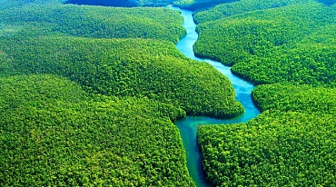 Тропические леса Бразилии начали выделять углекислый газ
