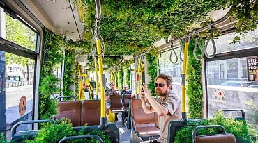 Трамвай в Антверпене стал "движущимся садом"