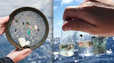 В Баренцевом и Карском морях обнаружено повышенное содержание микропластика 