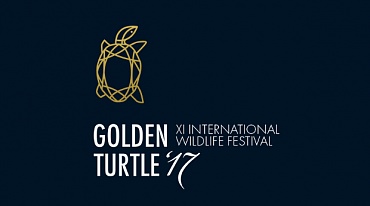 Международный конкурс фотографии живописи и дизайна The Golden Turtle