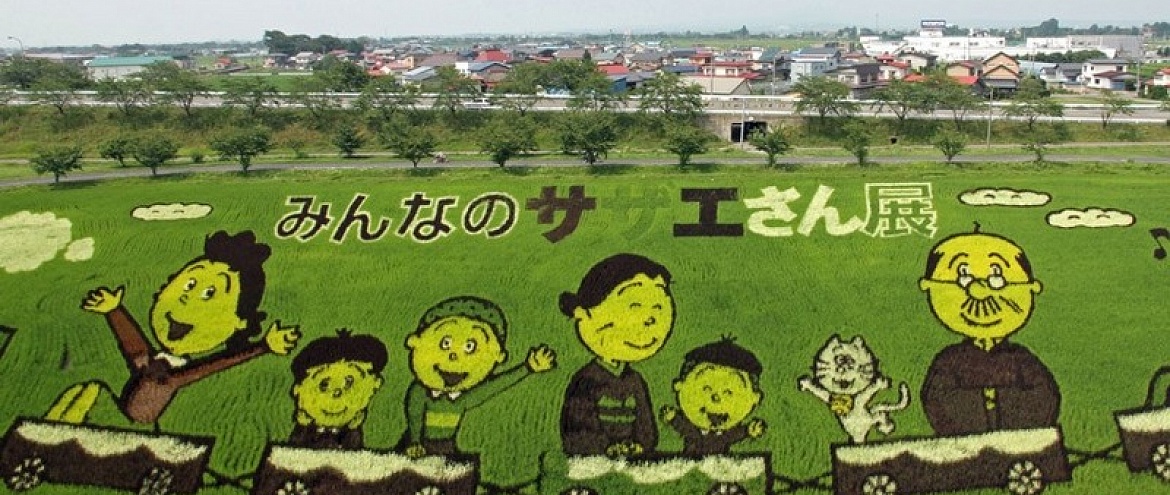 Картины на рисовых полях привлекают туристов