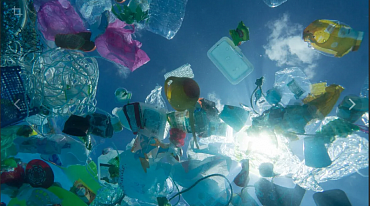 Загрязнение океана пластиком способствует образованию новых экосистем