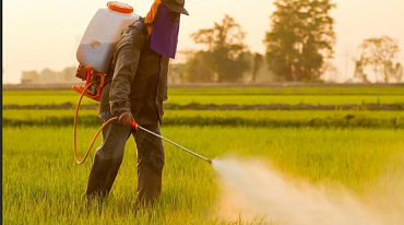 В местах применения пестицидов увеличивается риск хронического заболевания