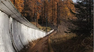 Ради Зимних Олимпийских игр-2026 в Италии вырубят реликтовые деревья 