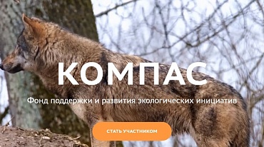 В России создали аналог Greenpeace и WWF 