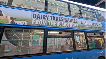В Дублине подвергли критике провеганскую рекламную акцию
